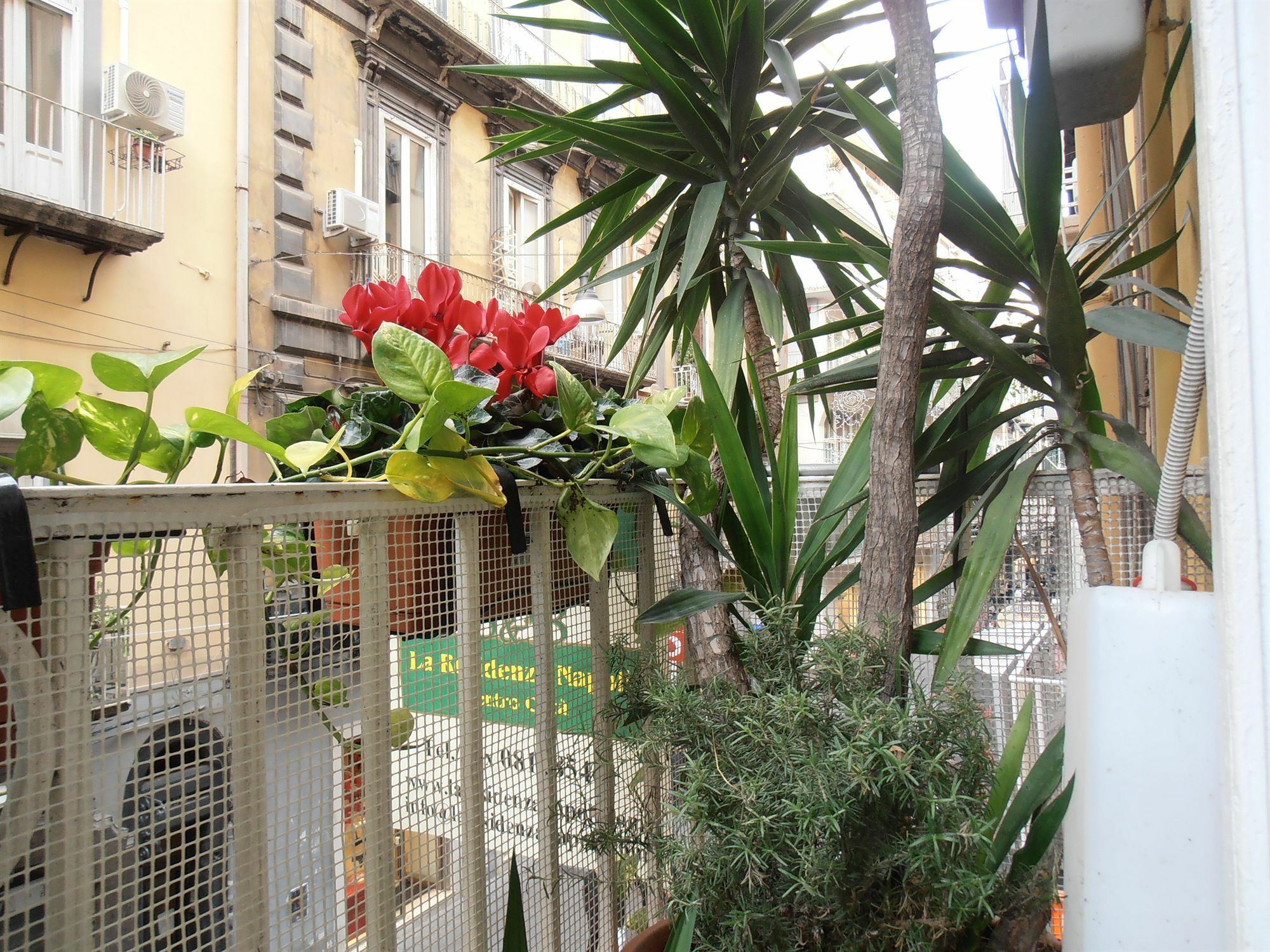 Plebiscito Napoli